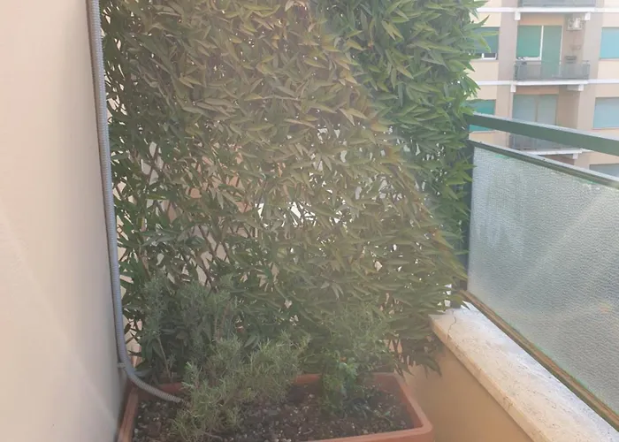 Max בית הארחה